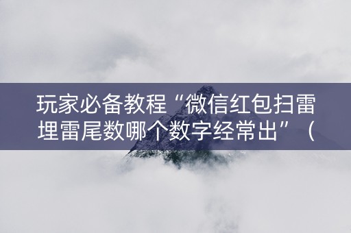 玩家必备教程“微信红包扫雷埋雷尾数哪个数字经常出”（详细透视教程）-哔哩哔哩