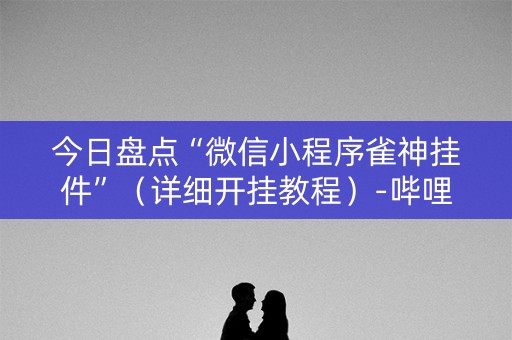 今日盘点“微信小程序雀神挂件”（详细开挂教程）-哔哩哔哩