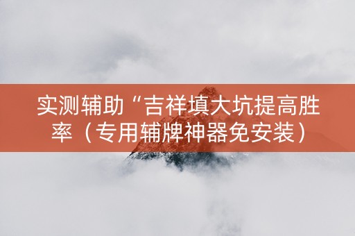 实测辅助“吉祥填大坑提高胜率（专用辅牌神器免安装）