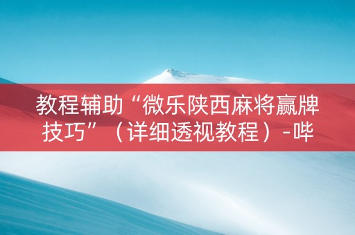 教程辅助“微乐陕西麻将赢牌技巧”（详细透视教程）-哔哩哔哩