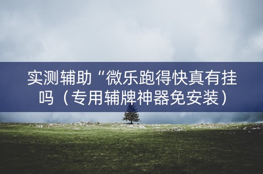 实测辅助“微乐跑得快真有挂吗（专用辅牌神器免安装）