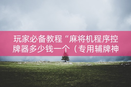 玩家必备教程“麻将机程序控牌器多少钱一个（专用辅牌神器免安装）