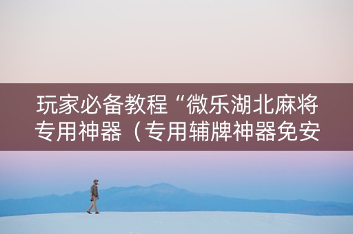 玩家必备教程“微乐湖北麻将专用神器（专用辅牌神器免安装）