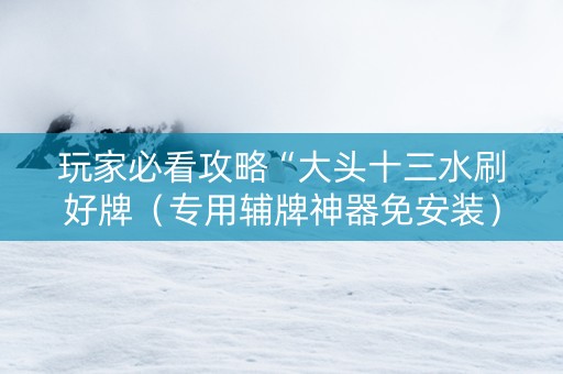 玩家必看攻略“大头十三水刷好牌（专用辅牌神器免安装）