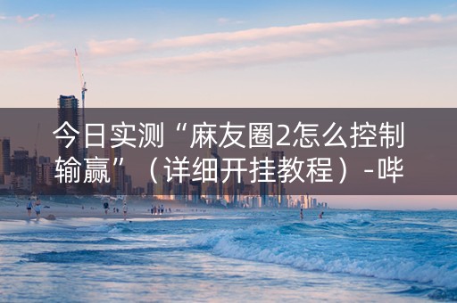 今日实测“麻友圈2怎么控制输赢”（详细开挂教程）-哔哩哔哩