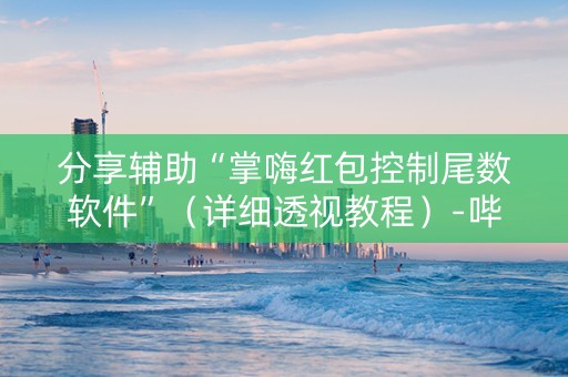 分享辅助“掌嗨红包控制尾数软件”（详细透视教程）-哔哩哔哩