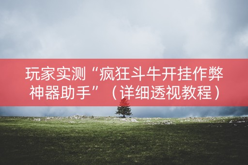 玩家实测“疯狂斗牛开挂作弊神器助手”（详细透视教程）-哔哩哔哩