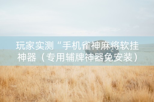 玩家实测“手机雀神麻将软挂神器（专用辅牌神器免安装）