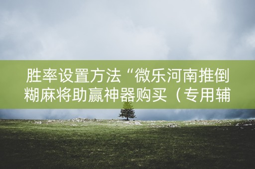 胜率设置方法“微乐河南推倒糊麻将助赢神器购买（专用辅牌神器免安装）