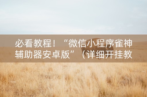 必看教程！“微信小程序雀神辅助器安卓版”（详细开挂教程）-哔哩哔哩