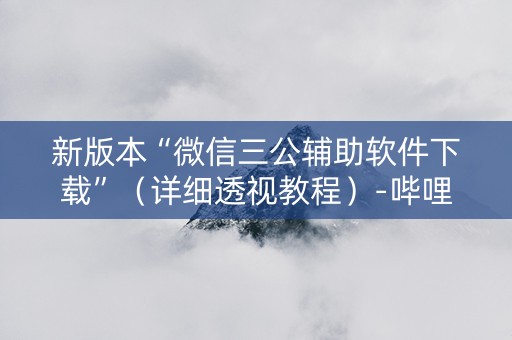 新版本“微信三公辅助软件下载”（详细透视教程）-哔哩哔哩