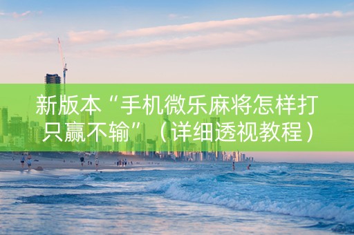 新版本“手机微乐麻将怎样打只赢不输”（详细透视教程）-哔哩哔哩