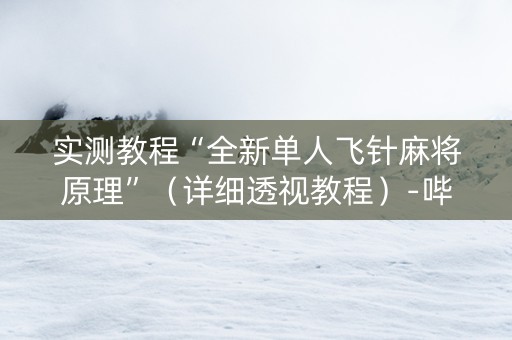 实测教程“全新单人飞针麻将原理”（详细透视教程）-哔哩哔哩