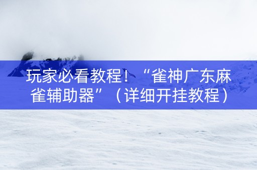 玩家必看教程！“雀神广东麻雀辅助器”（详细开挂教程）-哔哩哔哩