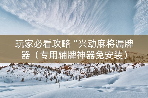 玩家必看攻略“兴动麻将漏牌器（专用辅牌神器免安装）