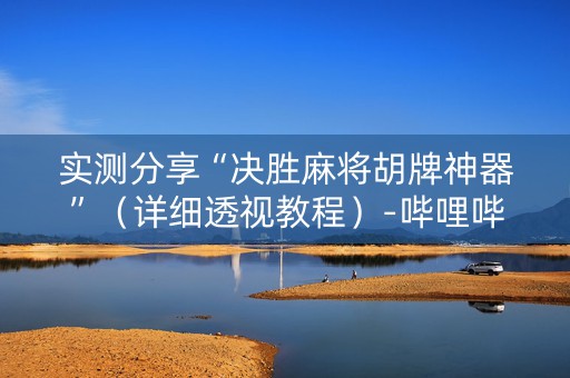 实测分享“决胜麻将胡牌神器”（详细透视教程）-哔哩哔哩