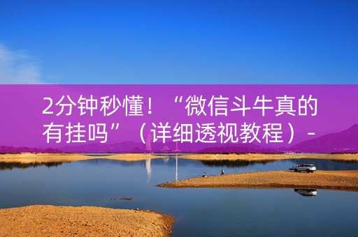 2分钟秒懂！“微信斗牛真的有挂吗”（详细透视教程）-哔哩哔哩