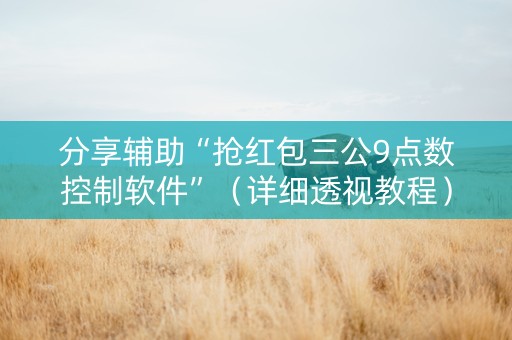 分享辅助“抢红包三公9点数控制软件”（详细透视教程）-哔哩哔哩