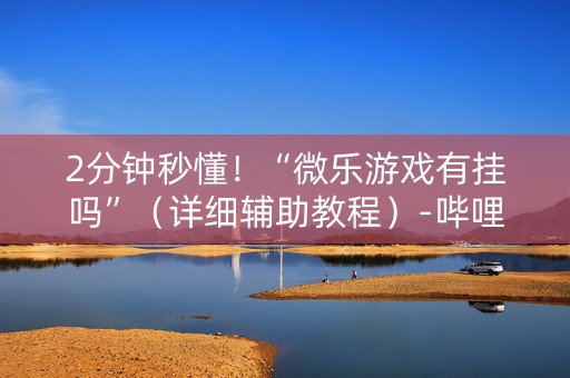 2分钟秒懂！“微乐游戏有挂吗”（详细辅助教程）-哔哩哔哩
