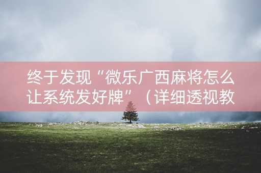 终于发现“微乐广西麻将怎么让系统发好牌”（详细透视教程）-哔哩哔哩