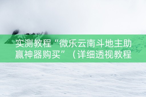 实测教程“微乐云南斗地主助赢神器购买”（详细透视教程）-哔哩哔哩