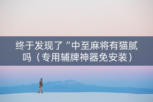 终于发现了“中至麻将有猫腻吗（专用辅牌神器免安装）