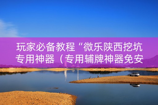 玩家必备教程“微乐陕西挖坑专用神器（专用辅牌神器免安装）