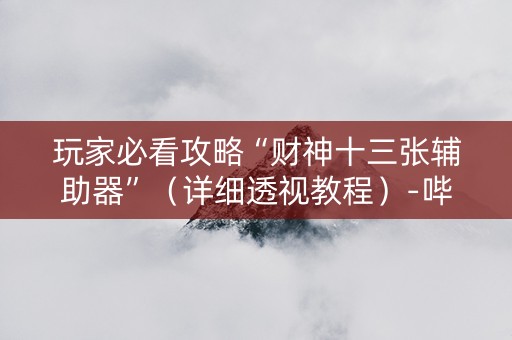 玩家必看攻略“财神十三张辅助器”（详细透视教程）-哔哩哔哩