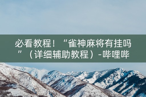必看教程！“雀神麻将有挂吗”（详细辅助教程）-哔哩哔哩
