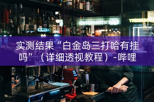 实测结果“白金岛三打哈有挂吗”（详细透视教程）-哔哩哔哩