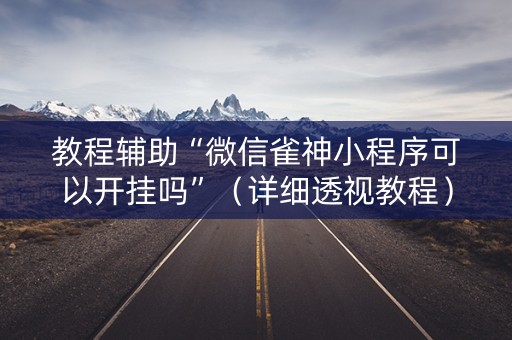 教程辅助“微信雀神小程序可以开挂吗”（详细透视教程）-哔哩哔哩