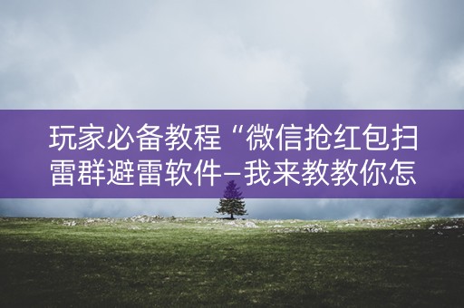 玩家必备教程“微信抢红包扫雷群避雷软件—我来教教你怎么开挂”（详细透视教程）-哔哩哔哩