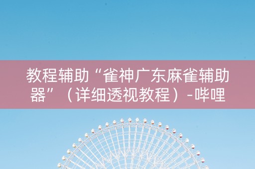 教程辅助“雀神广东麻雀辅助器”（详细透视教程）-哔哩哔哩