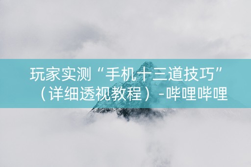 玩家实测“手机十三道技巧”（详细透视教程）-哔哩哔哩