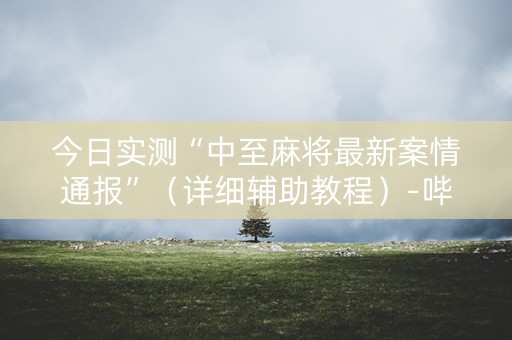 今日实测“中至麻将最新案情通报”（详细辅助教程）-哔哩哔哩