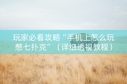 玩家必看攻略“手机上怎么玩憋七扑克”（详细透视教程）-哔哩哔哩