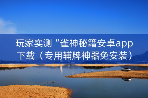 玩家实测“雀神秘籍安卓app下载（专用辅牌神器免安装）