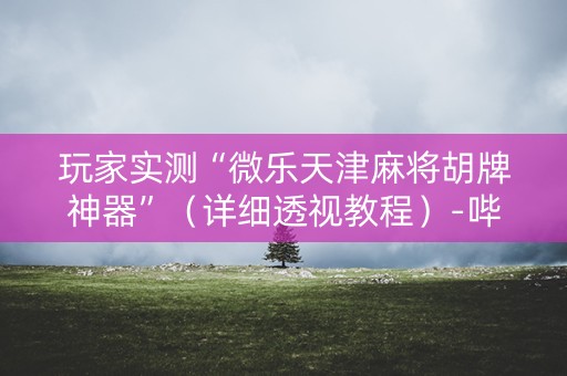 玩家实测“微乐天津麻将胡牌神器”（详细透视教程）-哔哩哔哩