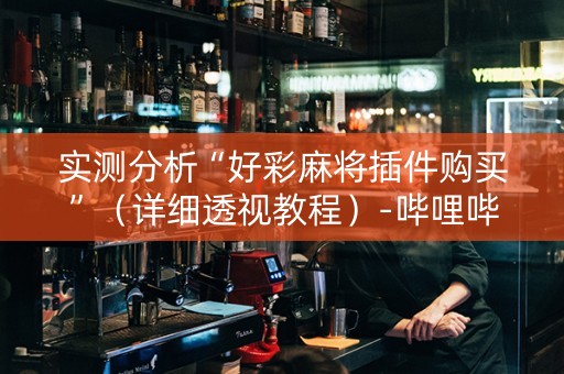 实测分析“好彩麻将插件购买”（详细透视教程）-哔哩哔哩