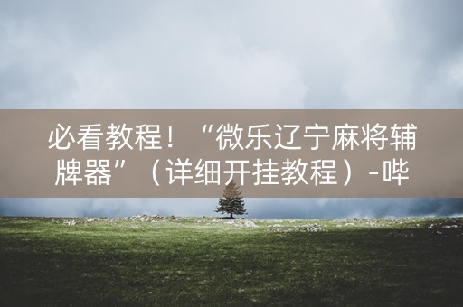 必看教程！“微乐辽宁麻将辅牌器”（详细开挂教程）-哔哩哔哩