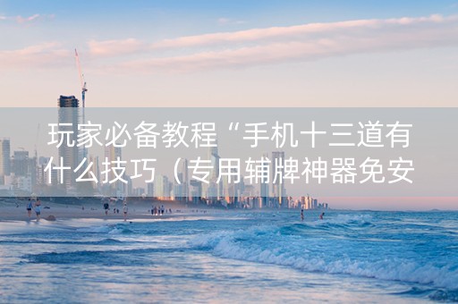 玩家必备教程“手机十三道有什么技巧（专用辅牌神器免安装）