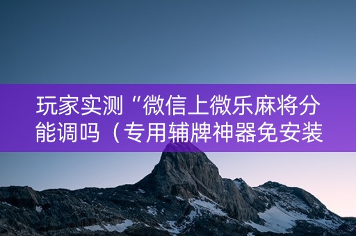 玩家实测“微信上微乐麻将分能调吗（专用辅牌神器免安装）