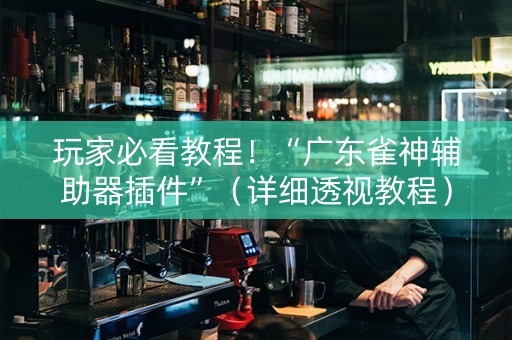 玩家必看教程！“广东雀神辅助器插件”（详细透视教程）-哔哩哔哩