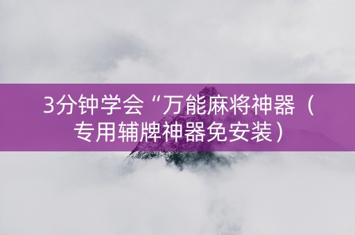 3分钟学会“万能麻将神器（专用辅牌神器免安装）