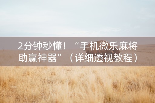 2分钟秒懂！“手机微乐麻将助赢神器”（详细透视教程）-哔哩哔哩