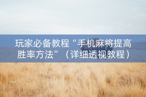 玩家必备教程“手机麻将提高胜率方法”（详细透视教程）-哔哩哔哩