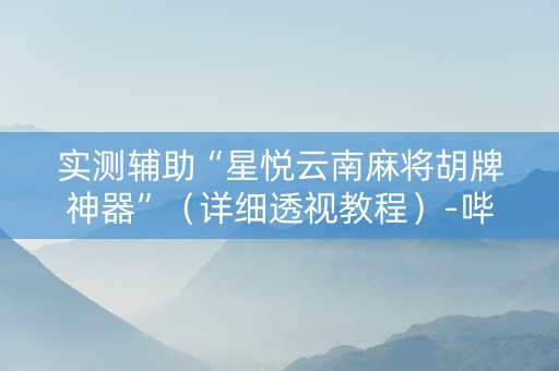 实测辅助“星悦云南麻将胡牌神器”（详细透视教程）-哔哩哔哩