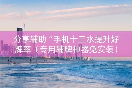 分享辅助“手机十三水提升好牌率（专用辅牌神器免安装）