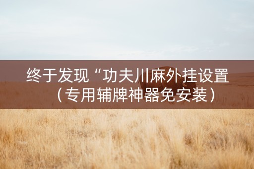 终于发现“功夫川麻外挂设置（专用辅牌神器免安装）
