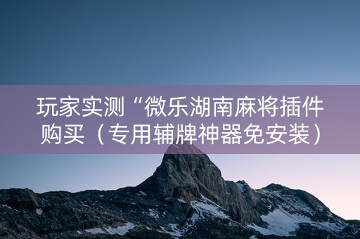 玩家实测“微乐湖南麻将插件购买（专用辅牌神器免安装）